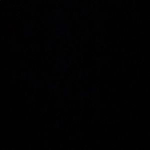 Meet your Posher, Edgar